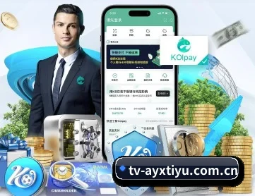 爱游戏体育 APP 深度功能